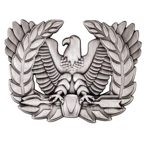 All Metal Lapel Pins