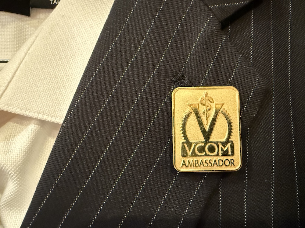 All Metal Lapel Pins - Image 2